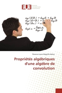 PROPRIETES ALGEBRIQUES D''UNE ALGEBRE DE CONVOLUTION