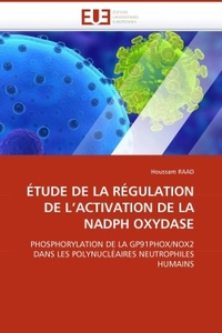 ÉTUDE DE LA RÉGULATION DE L''ACTIVATION DE LA NADPH OXYDASE