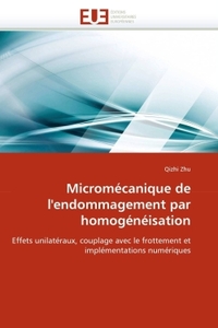 Micromécanique de l''endommagement par homogénéisation