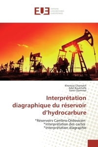 Interpretation diagraphique du reservoir d'hydrocarbure