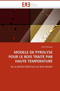 Modele de pyrolyse pour le bois traite par haute temperature