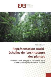 Représentation multi-échelles de l'architecture des plantes