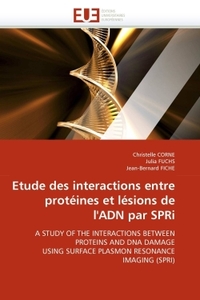 Etude des interactions entre protéines et lésions de l''adn par spri