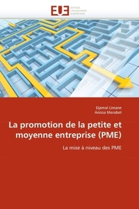 La promotion de la petite et moyenne entreprise (pme)