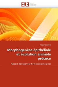 Morphogenèse épithéliale et évolution animale précoce