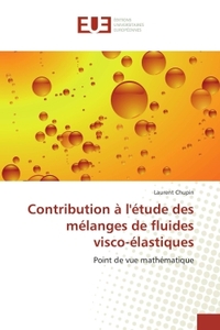 CONTRIBUTION A L'ETUDE DES MELANGES DE FLUIDES VISCO-ELASTIQUES - POINT DE VUE MATHEMATIQUE