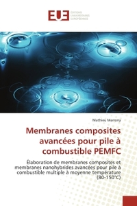 MEMBRANES COMPOSITES AVANCEES POUR PILE A COMBUSTIBLE PEMFC
