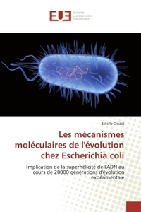 Les mécanismes moléculaires de l'évolution chez Escherichia coli