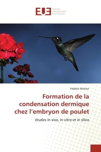 Formation de la condensation dermique chez l'embryon de poulet