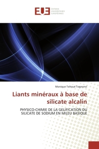 Liants minéraux à base de silicate alcalin