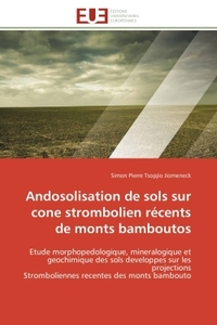 Andosolisation de sols sur cone strombolien récents de monts bamboutos