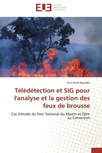 TELEDETECTION ET SIG POUR L'ANALYSE ET LA GESTION DES FEUX DE BROUSSE