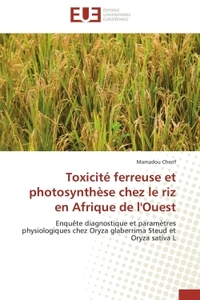 Toxicité ferreuse et photosynthèse chez le riz en afrique de l'ouest
