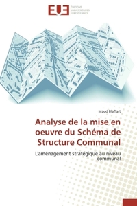 Analyse de la mise en oeuvre du schéma de structure communal