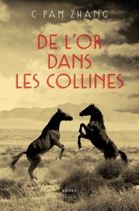 DE L'OR DANS LES COLLINES