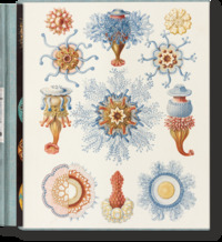 THE ART AND SCIENCE OF ERNST HAECKEL - EDITION MULTILINGUE