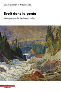 DROIT DANS LA PENTE - MONTAGNE ET COLLECTIVITES TERRITORIALES