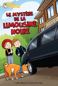 LE MYSTERE DE LA LIMOUSINE NOIRE