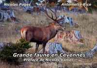 Grande faune en Cévennes