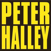 Peter Halley: Since 2000 /anglais