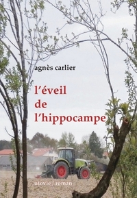 L'éveil de l'hippocampe