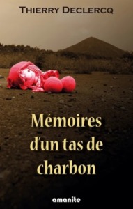 MEMOIRES D'UN TAS DE CHARBON