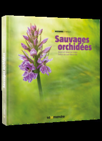 Sauvages orchidées