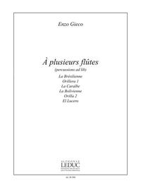ENZO GIECO: A PLUSIEURS FLUTES