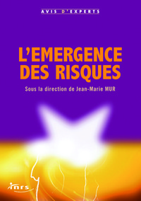 L'EMERGENCE DES RISQUES