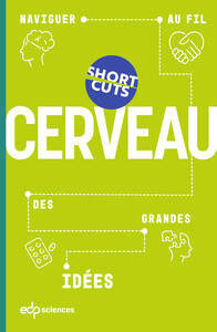 Cerveau