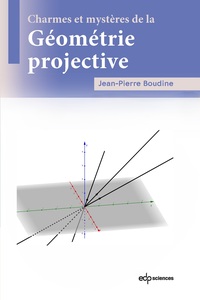 Charmes et mystères de la géométrie projective