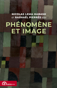 Phénomène et image