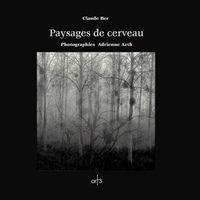 Paysages de cerveau