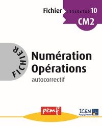 Fichier Numération Opérations CM2 NIVEAU 2 Fichier 10