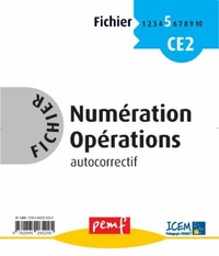 Fichier Numération-Opérations CE1 NIVEAU 2 Fichier 4