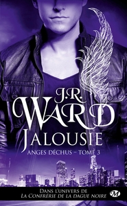 ANGES DECHUS, T3 : JALOUSIE