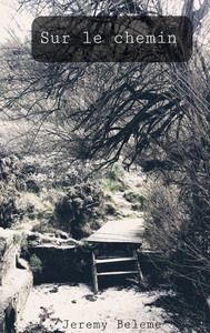 Sur le chemin