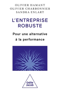 L'Entreprise robuste