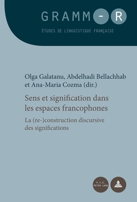SENS ET SIGNIFICATION DANS LES ESPACES FRANCOPHONES - LA (RE-)CONSTRUCTION DISCURSIVE DES SIGNIFICAT