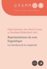 REPRESENTATIONS DU SENS LINGUISTIQUE - LES INTERFACES DE LA COMPLEXITE