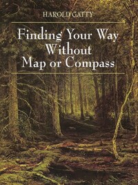 Finding Your Way Without Map or Compass