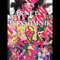 CARNET D INSOMNIE