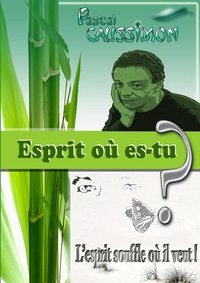 ESPRIT OU ES-TU ? - L'ESPRIT SOUFFLE OU IL VEUT !