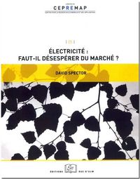 ELECTRICITE:FAUT-IL DESESPERER DU MARCHE ?