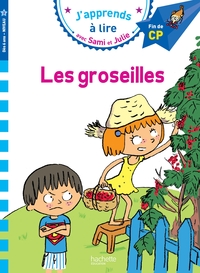 SAMI ET JULIE CP NIVEAU 3 LES GROSEILLES