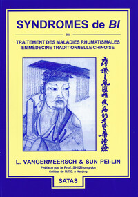 SYNDROMES DE BI OU TRAITEMENT DES MALADIES RHUMATISMALES EN MEDECINE TRADITIONNELLE CHINOISE