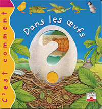 DANS LES UFS