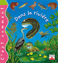 DANS LA RIVIERE