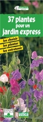 Plantes pour un jardin express