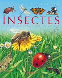 Les insectes